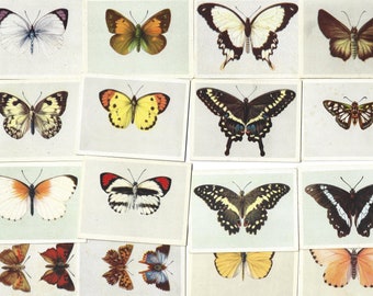 52 Vintage Cigarette Cards - South African Butterflies. 1937. Full Set. United Tobacco South Africa. Antique Butterfly, Lepidopterology gift