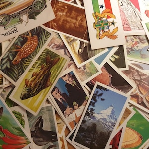 50 cartões de chá vintage Brooke Bond, seleção aleatória. Cartões comerciais. Coisas efêmeras. Papel. Trabalhos manuais. Pacote Efêmera