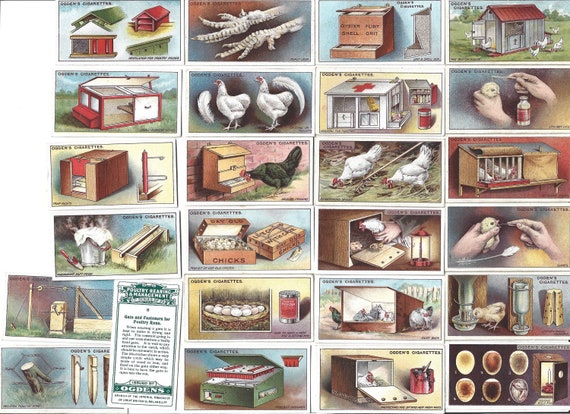coop cigarettes 25 Vintage Cigarette Cards