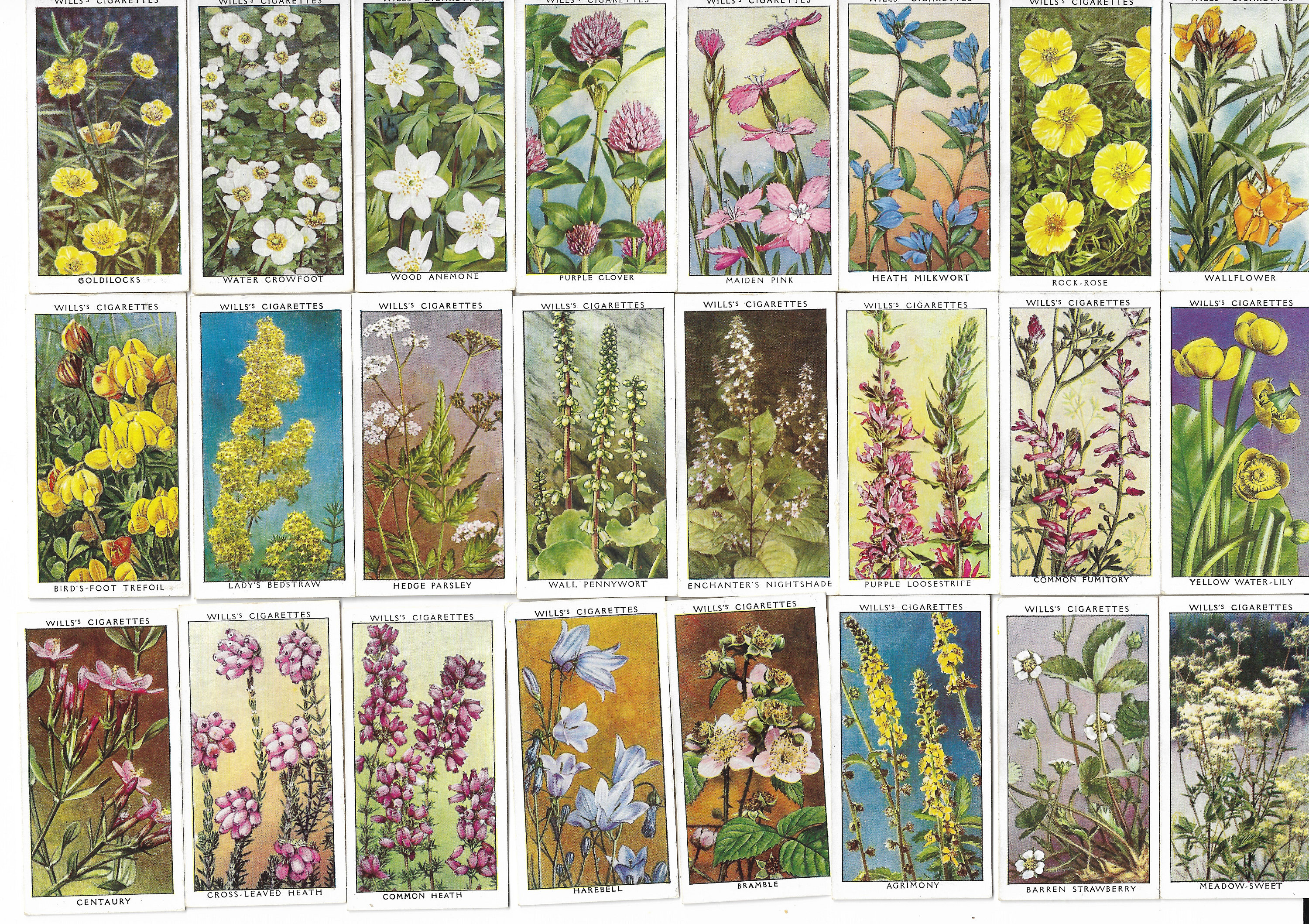 50 Vintage Cigarette Cards