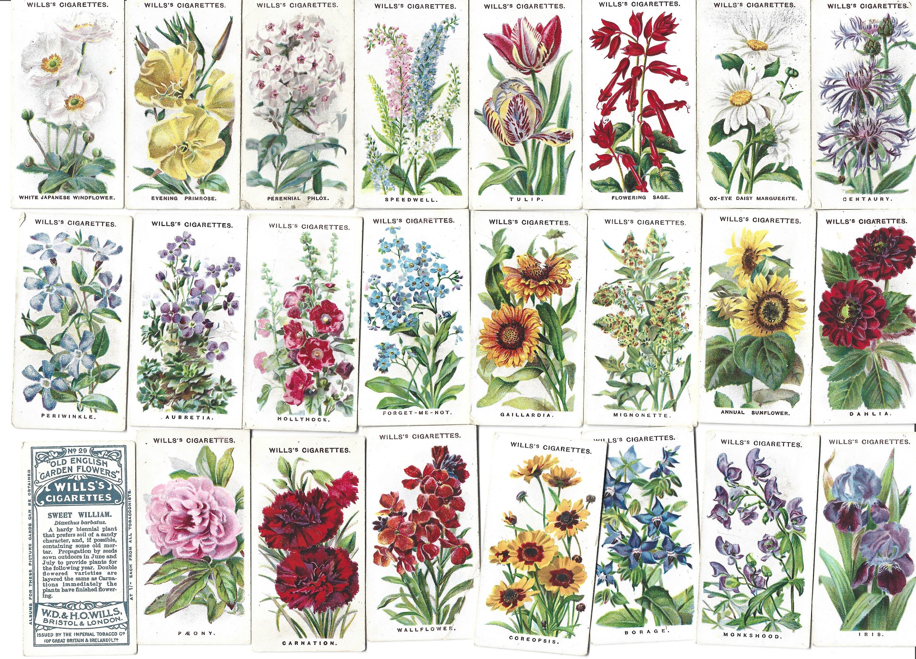 50 Vintage Cigarette Cards