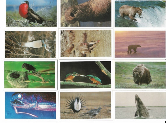 30 Vintage Cigar Cards