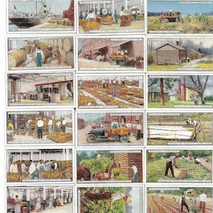 25 Vintage Cigarette Cards - From Plantation to Smoker. 1926. Full Set. John Player. Tobacco cards Trade cards. Trade industry manufacturing