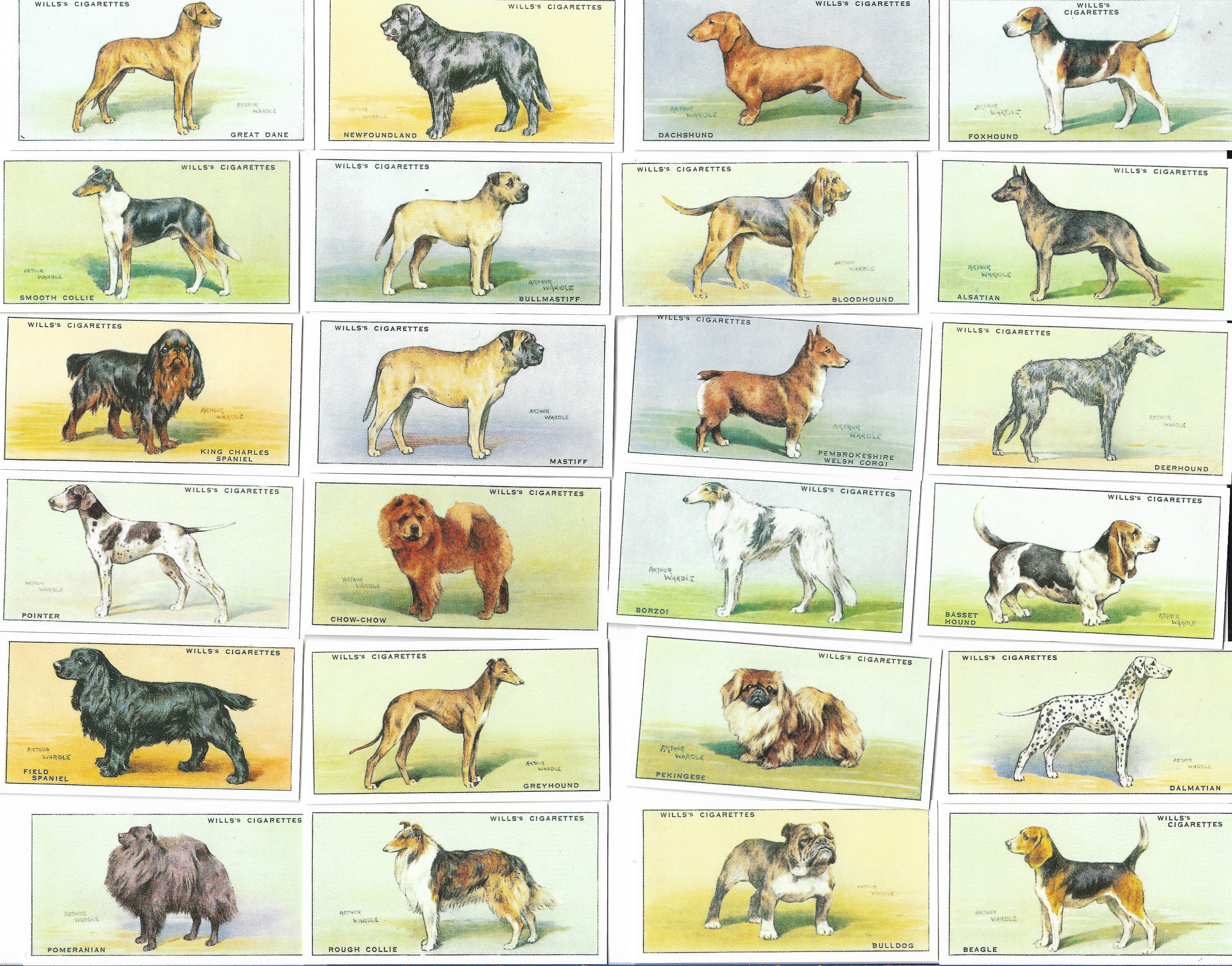 Reference Dogs Old New Zealand