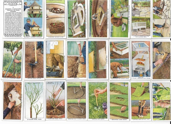 wills cigarette cards garden hints 50 Vintage Cigarette Cards