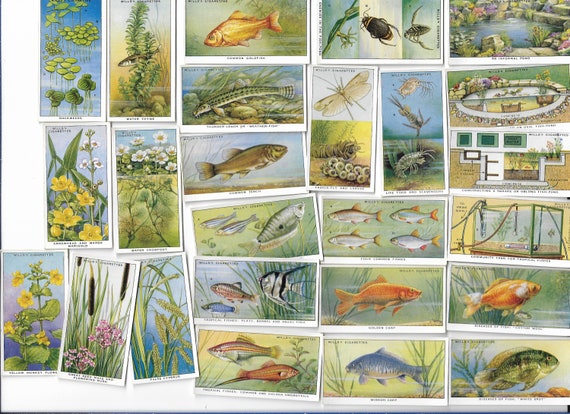 25 Vintage Cigarette Cards