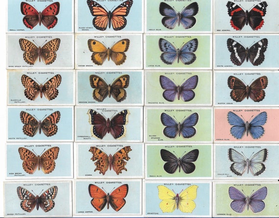 50 Vintage Cigarette Cards - British Butterflies. 1927. Full Set