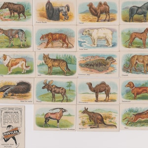 20 Vintage Werbekarten - Tiere (1e Serie). 1925. Vollständiges Set. Hustler Seife. Karten tauschen. Niedliche Tiere Geschenk Handwerk Ephemera