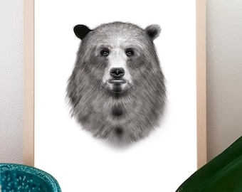 Illustrazione Orso