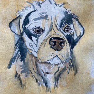 May include: Watercolor painting of a dog with black and white markings. The dog has a light brown nose and brown eyes. The background is a light brown watercolor wash.