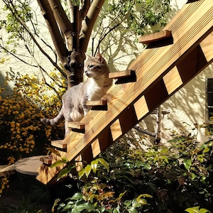 Cat ramp outdoor cheap
