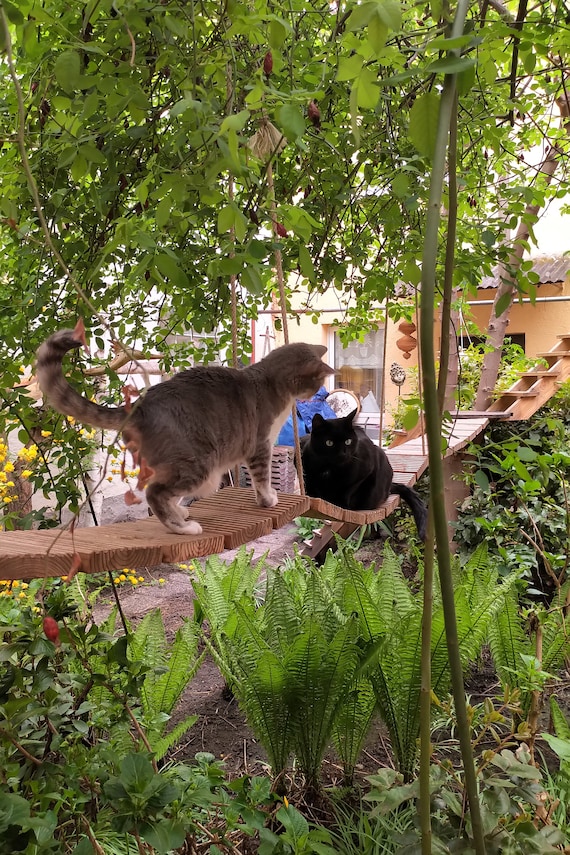 Full insulation for cat house