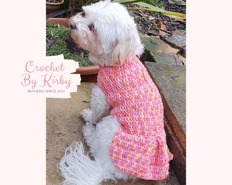 Crochet Dog Sweater Pattern Easy Pleated Dog Jumper Beginner Intermediate Size Small Instant Download PDF Pattern image 1