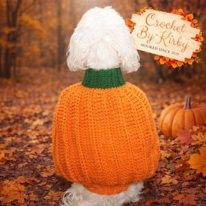 May include: A dog wearing an orange crochet pumpkin sweater with a green collar, set against a backdrop of autumn leaves and a pumpkin. The sign reads "Crochet By Kirby" and "Hooked Since 2020".