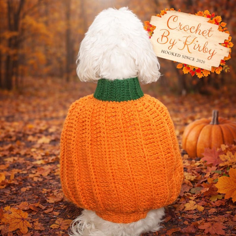 May include: A dog wearing an orange crochet pumpkin sweater with a green collar, set against a backdrop of autumn leaves and a pumpkin. The sign reads "Crochet By Kirby" and "Hooked Since 2020".