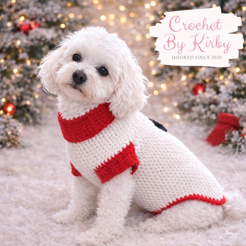 Snowman Dog Sweater Crochet Pattern, Small Dog Costume (PDF Digital Download) image 3