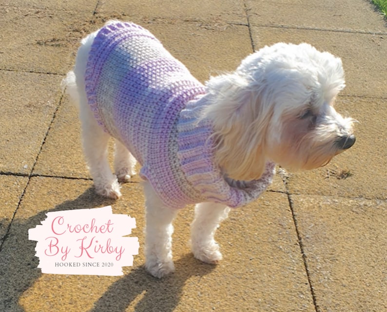 Chunky Dog Sweater Easy Crochet Pattern. Size small. Beginner. Instant Digital Download PDF Pattern image 3