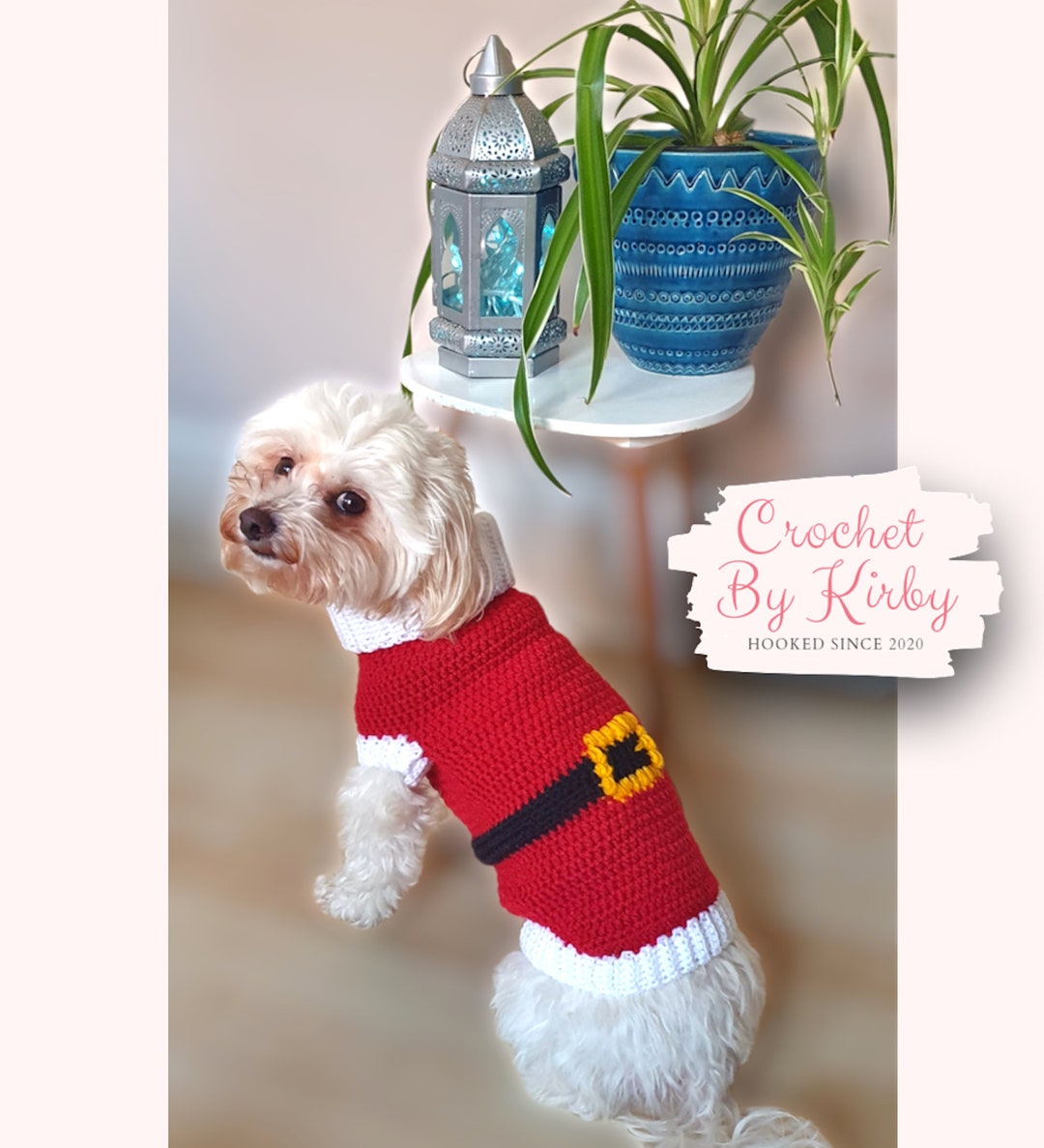 Santa Dog Sweater Easy Crochet Pattern Beginner XS Small