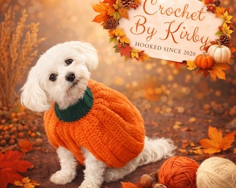 Pumpkin Dog Sweater Crochet Pattern, Fall Halloween Costume (Digital Download)