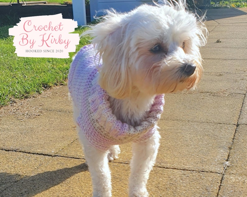 Chunky Dog Sweater Easy Crochet Pattern. Size small. Beginner. Instant Digital Download PDF Pattern image 7