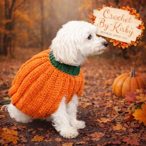 May include: A small white dog wearing an orange crochet pumpkin sweater with a green collar. The dog is sitting on a bed of fallen leaves with a pumpkin in the background. The sign says "Crochet By Kirby HOOKED SINCE 2020".