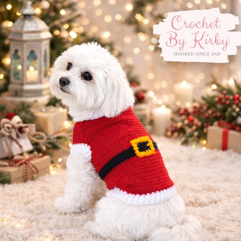 May include: A small white dog wearing a red crochet sweater with a black belt and a yellow buckle. The sweater has white trim. The image includes the text "Crochet By Kirby" and "Hooked Since 2020". The dog is sitting on a white rug.