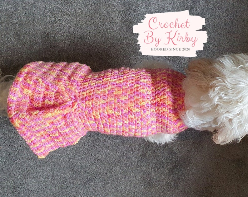 Crochet Dog Sweater Pattern Easy Pleated Dog Jumper Beginner Intermediate Size Small Instant Download PDF Pattern image 4