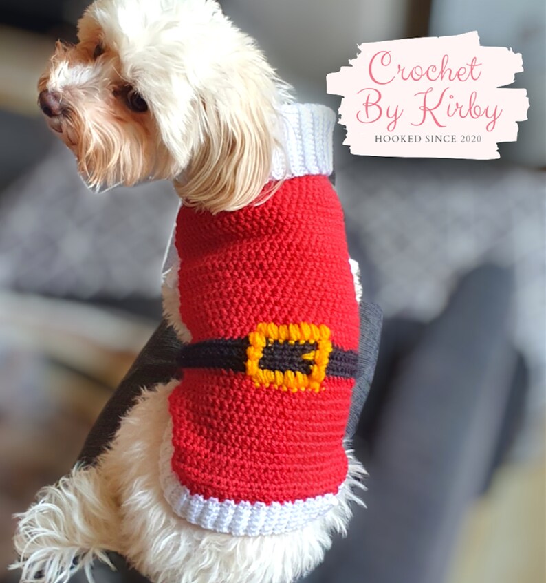 Santa Dog Sweater Easy Crochet Pattern Beginner Instant | Etsy