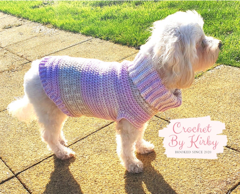 Chunky Dog Sweater Easy Crochet Pattern. Size small. Beginner. Instant Digital Download PDF Pattern image 1