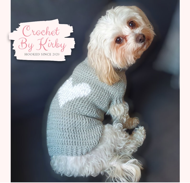 Valentine Heart Dog Sweater Crochet Pattern All Sizes Extra Small Small Medium Large image 1