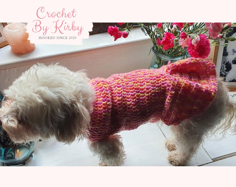 Crochet Dog Sweater Pattern Easy Pleated Dog Jumper Beginner Intermediate Size Small Instant Download PDF Pattern image 2