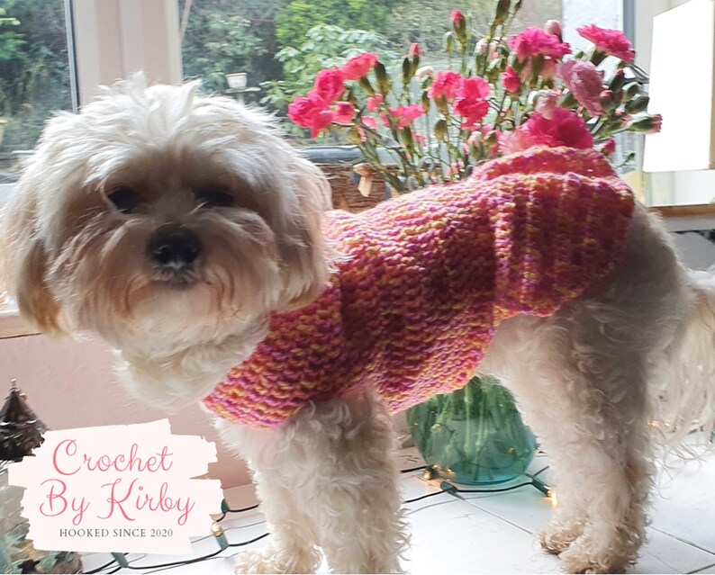 Crochet Dog Sweater Pattern Easy Pleated Dog Jumper Beginner Intermediate Size Small Instant Download PDF Pattern image 5