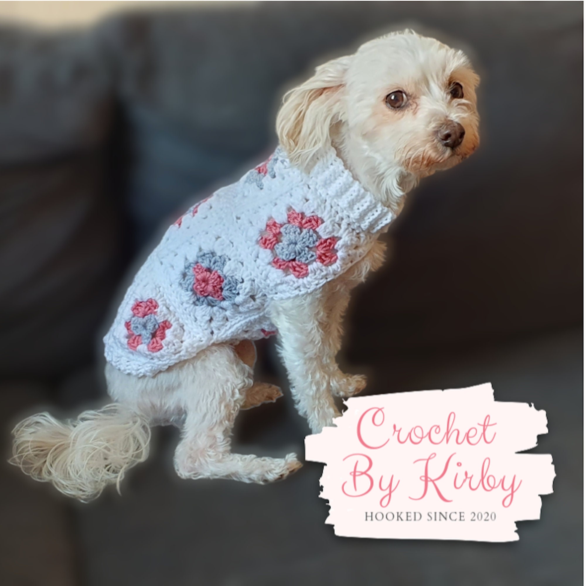 27 Free Crochet Dog Sweater Patterns - Sarah Maker