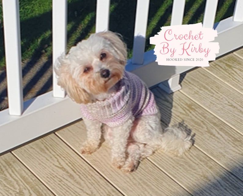 Chunky Dog Sweater Easy Crochet Pattern. Size small. Beginner. Instant Digital Download PDF Pattern image 6