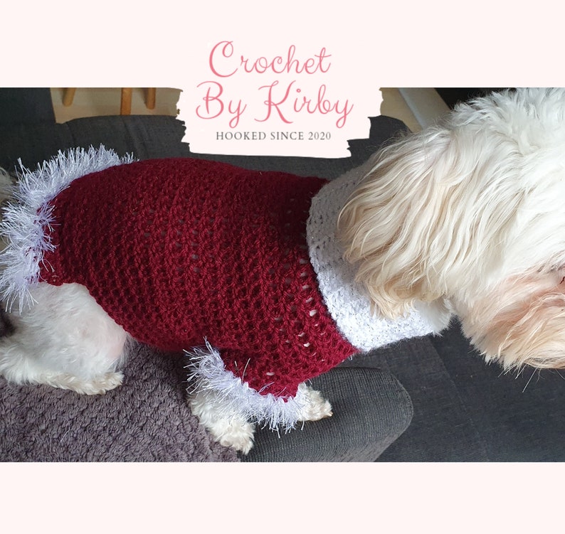 Christmas Crochet Dog Sweater Pattern Easy Beginner Etsy