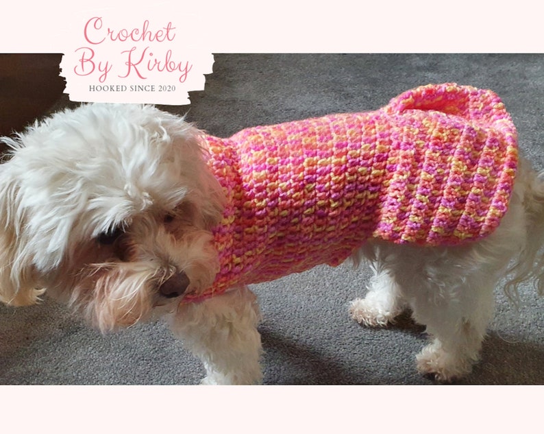 Crochet Dog Sweater Pattern Easy Pleated Dog Jumper Beginner Intermediate Size Small Instant Download PDF Pattern image 3