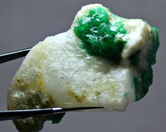 May include: A rough, white rock with a cluster of bright green emeralds embedded in it. The rock is being held by a pair of tweezers.