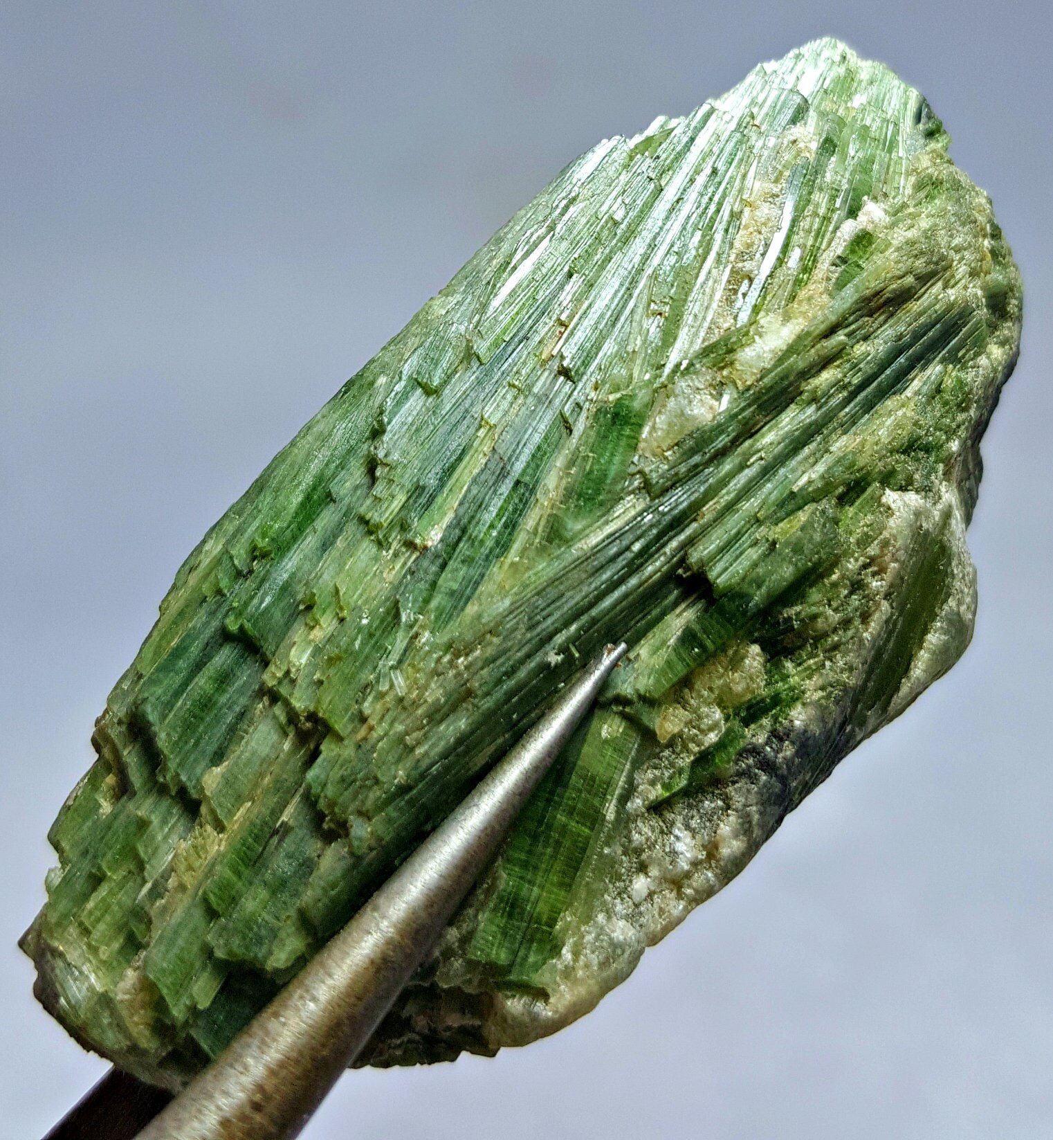 202.0 CT World Rare Transparent Green Color Natural Actinolite