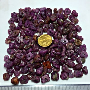 Puede incluir: Un montón grande de pequeñas piedras preciosas de rubí rosa en bruto. Las piedras preciosas están esparcidas sobre una superficie blanca con una regla para la escala. Una moneda de oro está en el centro del montón.