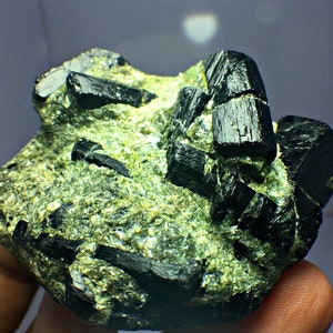 96.8 Gm Classical Rare Black Tourmaline Twin Crystals Bunch Specimen in Mother Rock for Collectors!