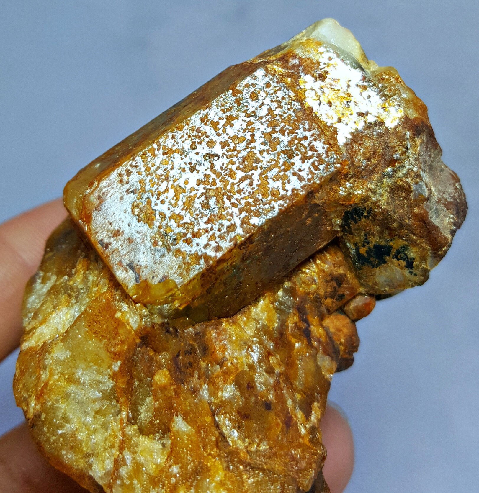 165.0 GM 希少アクアマリン＆ガーネット結晶標本 - スカルドゥ産、完全