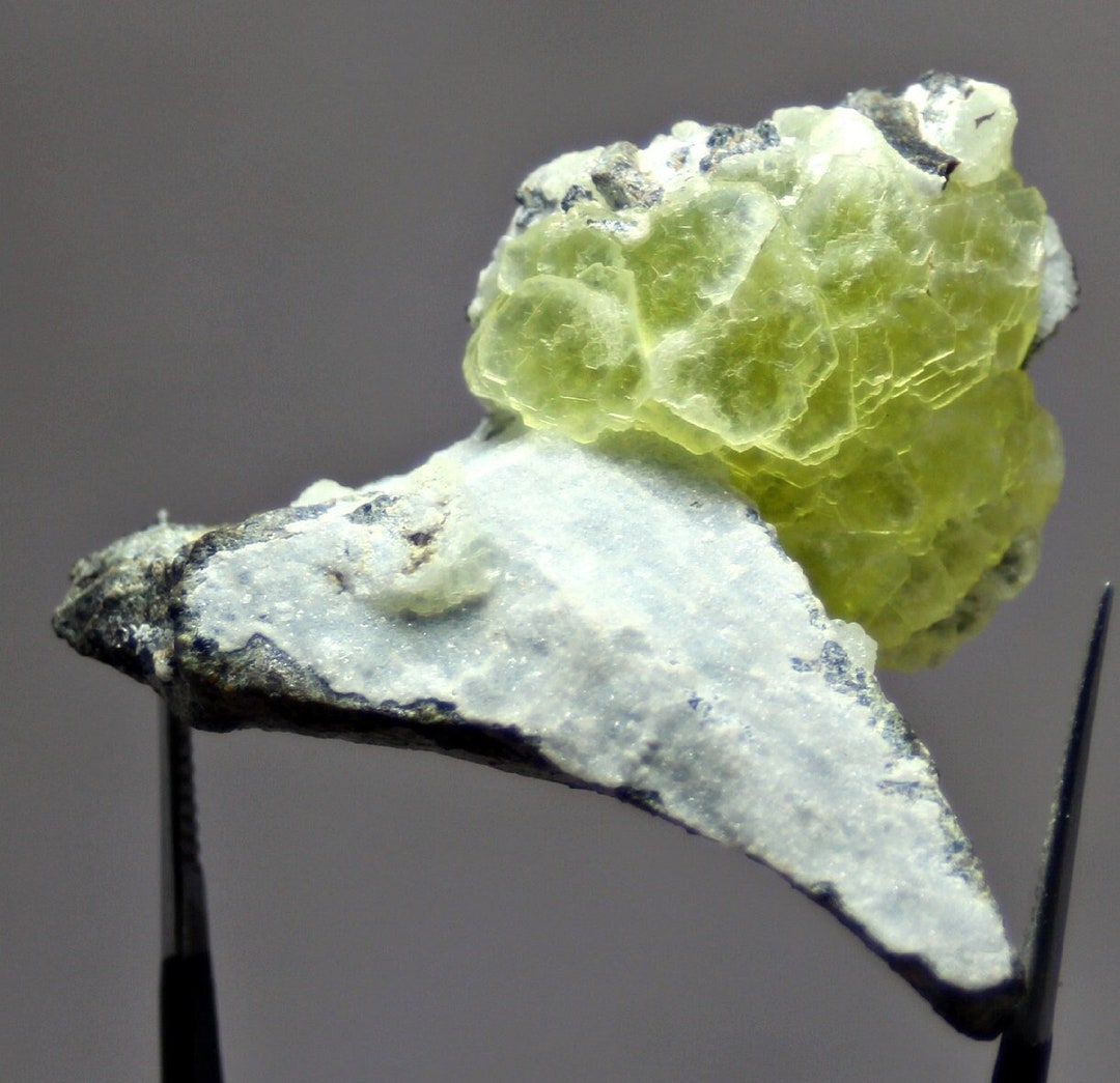 Brucite Crystal Cluster: Jelly Bean Yellow Flower on Schist ...