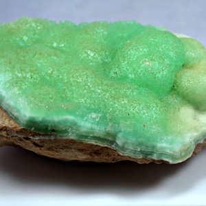 May include: A green and white mineral specimen with a layered, bubbly texture. The mineral is attached to a brown rock.