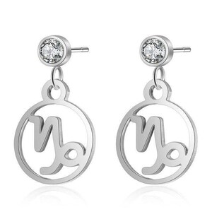 Sternzeichen Mini Creolstern Zeichen Konstellationen Ohrringe zarten Charme Silber großes Geschenk alle 12 Zeichen, große Geschenke