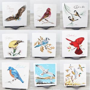 May include: Set of nine square tiles featuring colorful illustrations of different birds. Each tile has a white background and features a bird with its name written in black text. The birds include an American Eagle, Purple Finch, Chick-a-dee, Goldfinch, Blue Jay, Cardinal, Bluebird, Seagull, and Ducks.