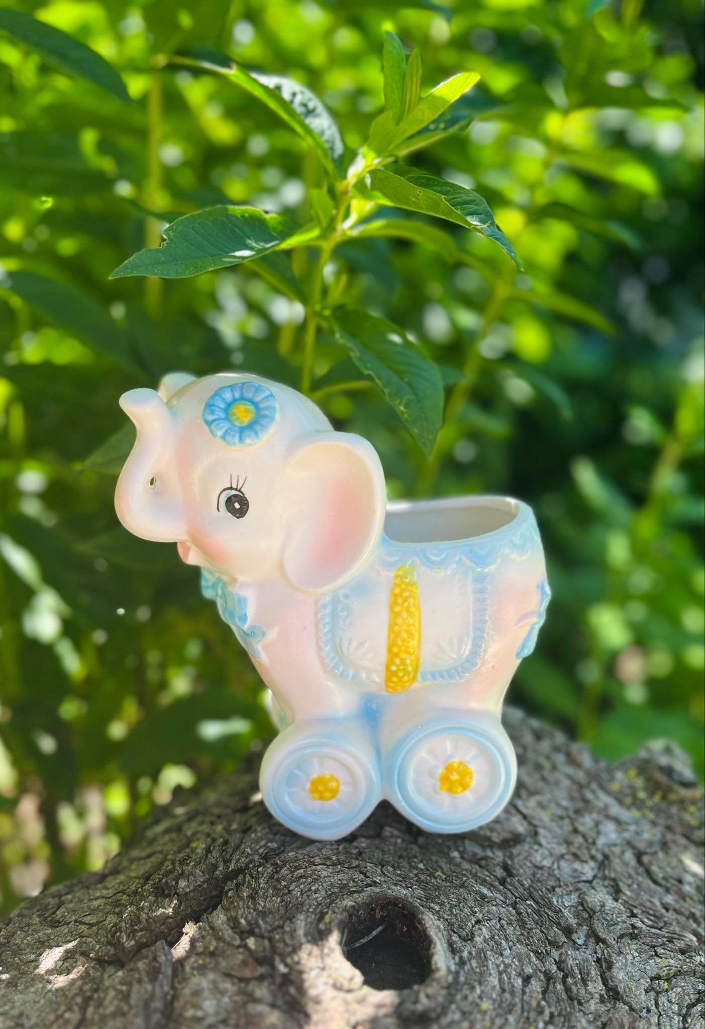 Napco Baby Planter - Etsy Canada