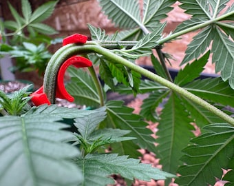 Improved LST Plant Training Clips