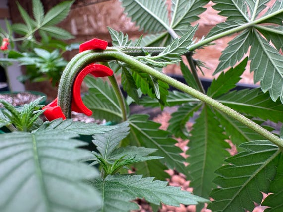 LST Clips for Plant Training – Low Stress Training Accessories for Garden & Grow Tent | Reusable Plant Benders | Small + Large Sizes