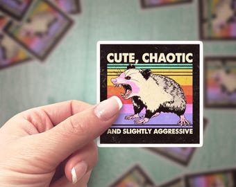 Vintage Opossum Sticker: Retro Chaotic Vinyl Decal