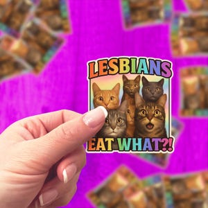 Grappige sticker lesbische kat - &quot;Lesbians eat what?!&quot; LGBTQ-vinylsticker – Pride Humor, Kawaii Shocked Cats, waterdicht en duurzaam